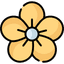 service list icon